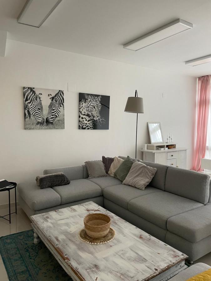 Stadtsuite Mit Sauna In Wiener Neustadt 135 M2 ภายนอก รูปภาพ
